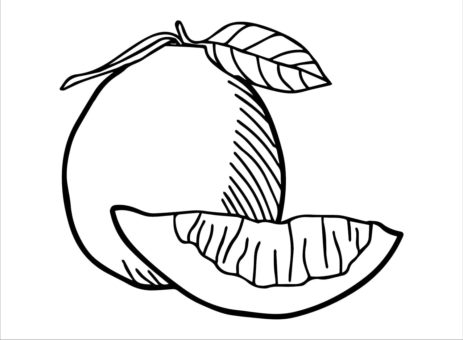 Gratis Cetakan jeruk bali