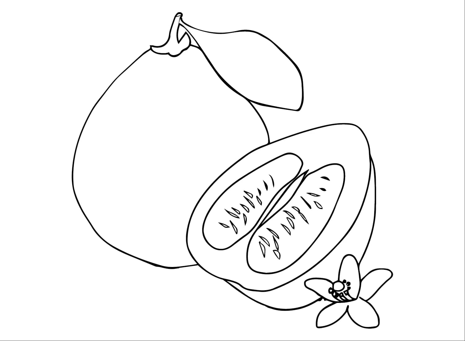 Jeruk bali dan bunga