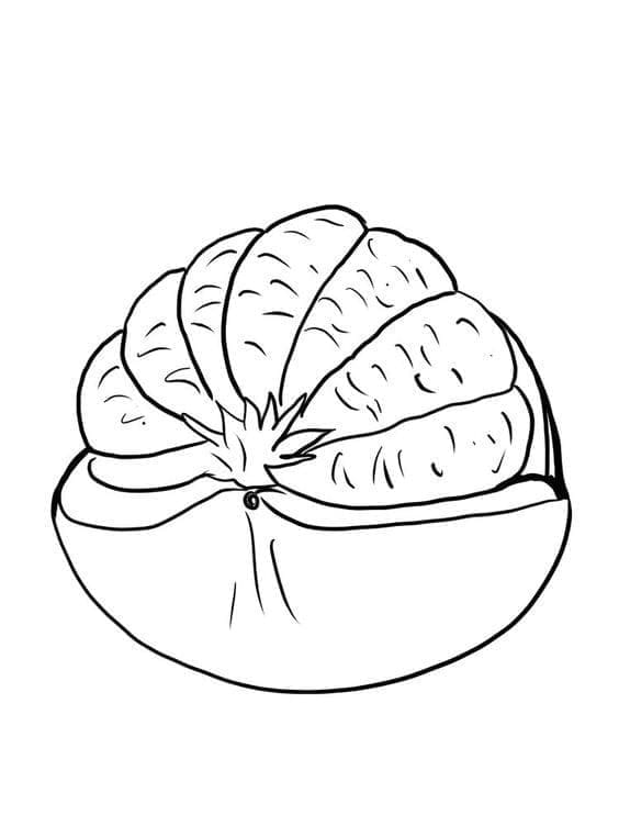 Jeruk bali yang lezat gratis