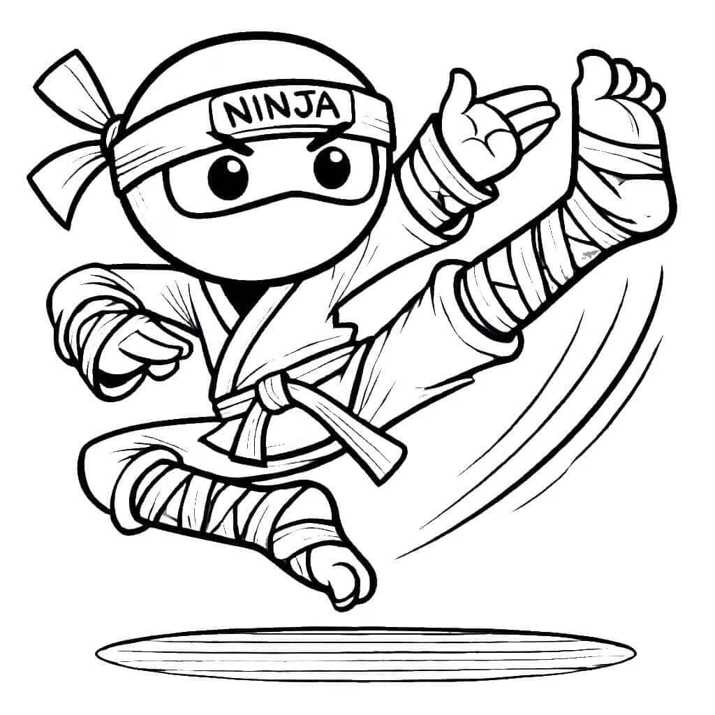 Ninja Lucu