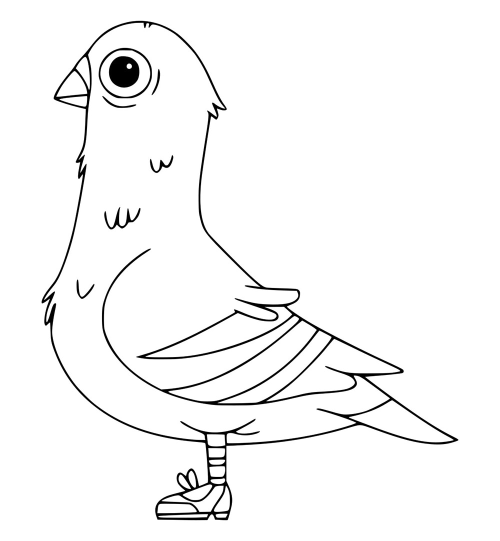 Pigeon dari We Bare Bears
