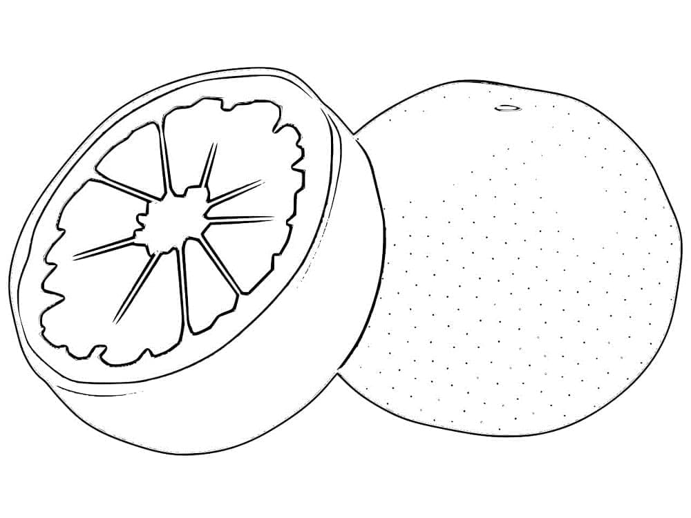 Pomelo yang Dapat Dicetak