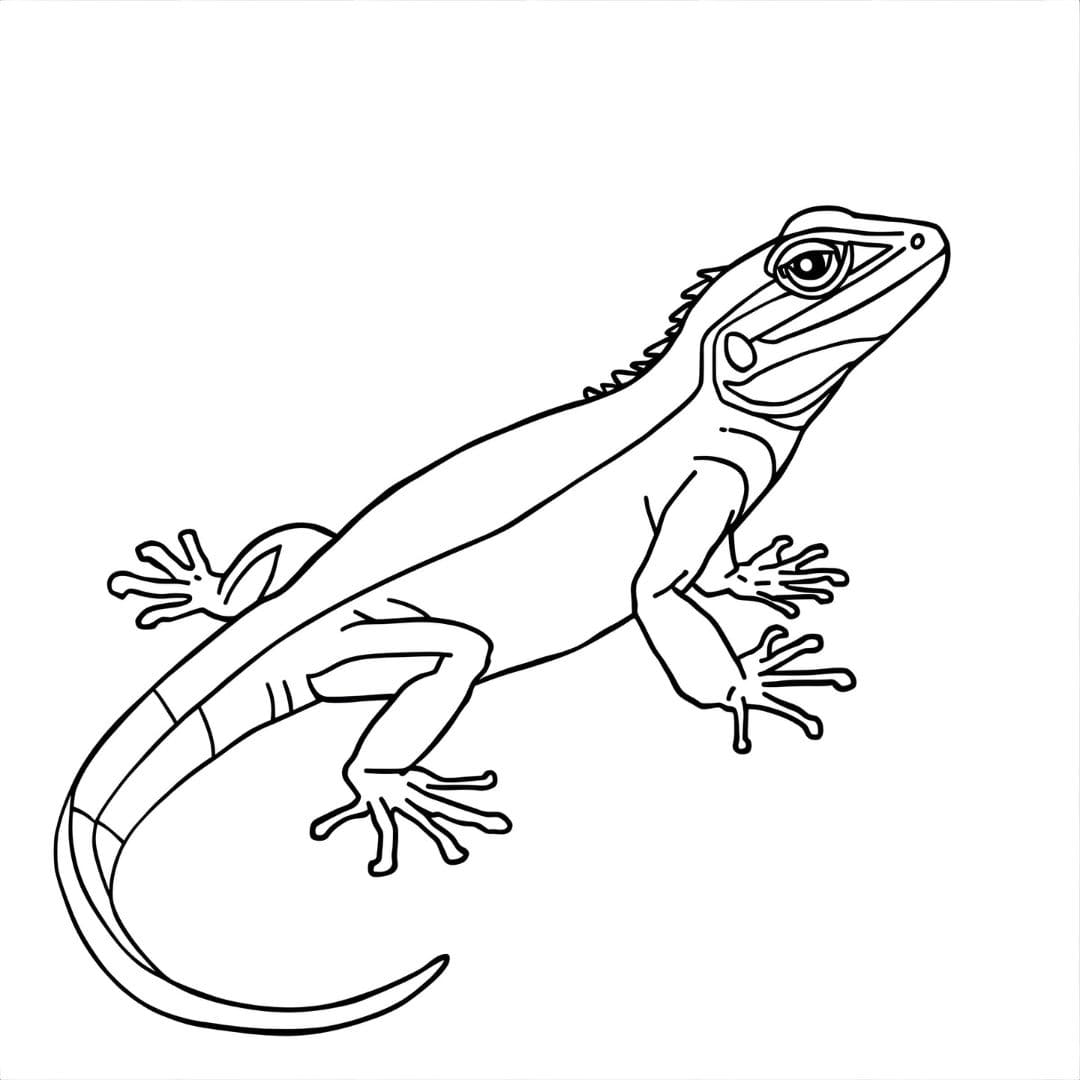 Cetakan gratis kadal