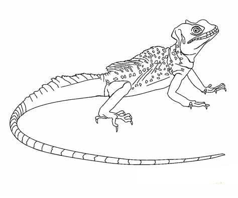 Kadal dapat dicetak gratis