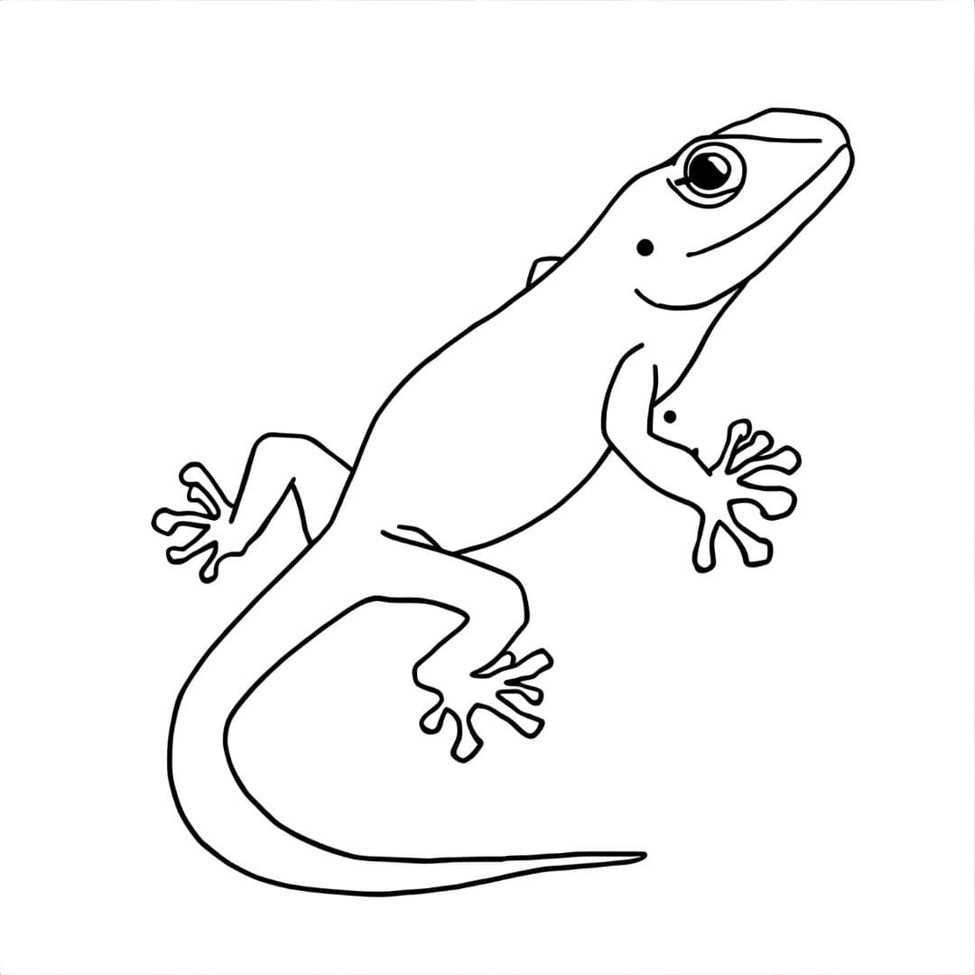 Kadal Sangat Sederhana