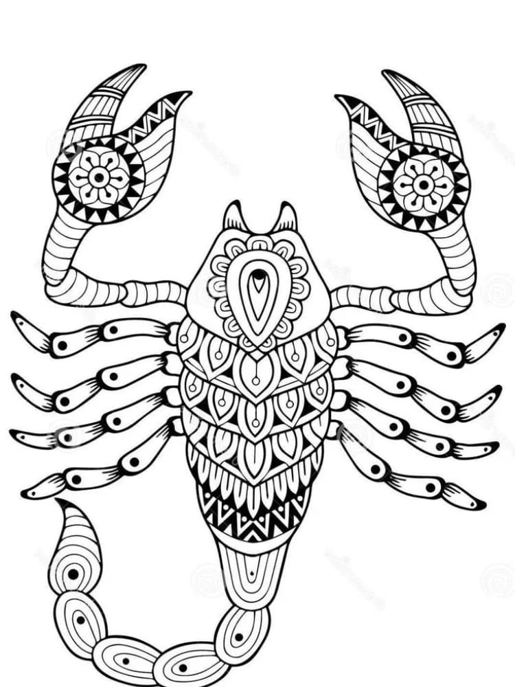 Kalajengking Artistik