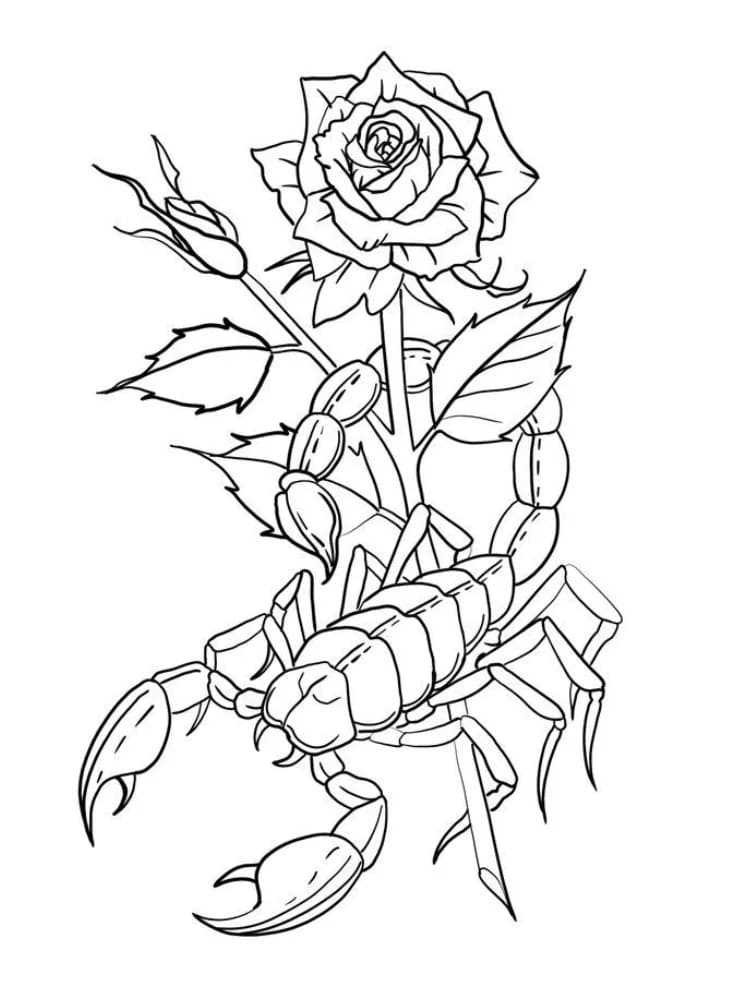 Kalajengking dan Mawar