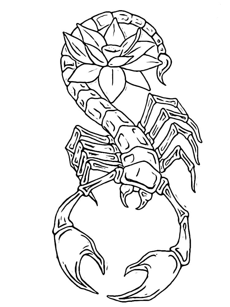 Kalajengking dan Teratai