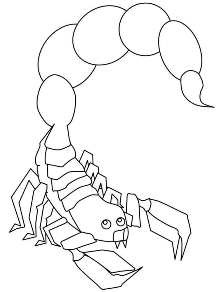 Kalajengking ekor besar