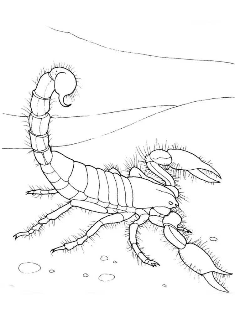 Kalajengking yang Dapat Dicetak