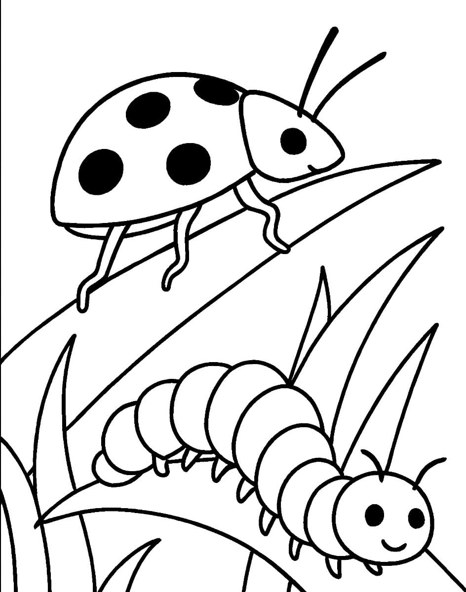 Kumbang Kecil dan hangat