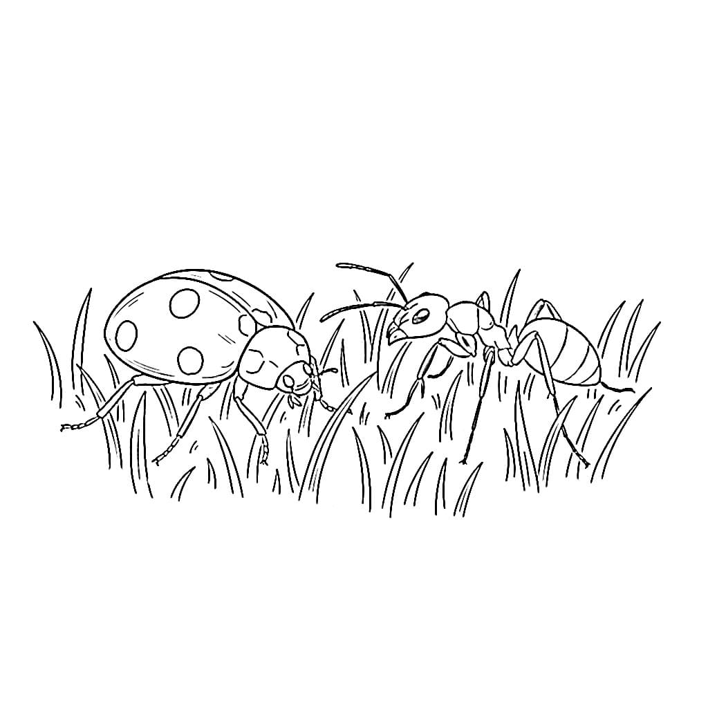 Kumbang Kecil dengan semut