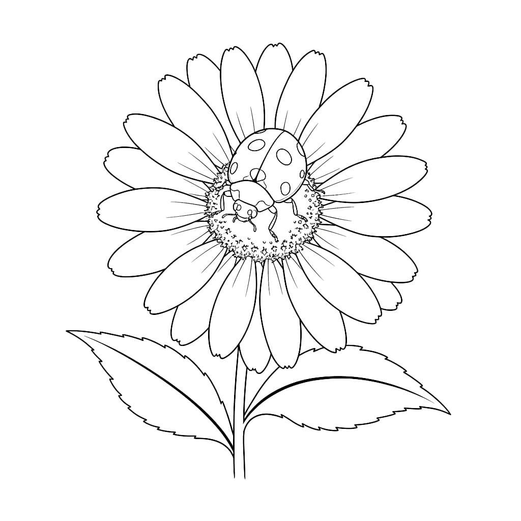 Kumbang Kecil di bunga