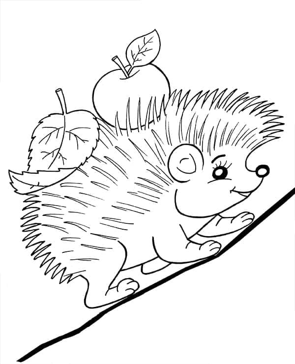 Landak Bahagia Gratis