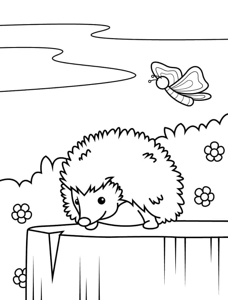 Landak dan Kupu-kupu