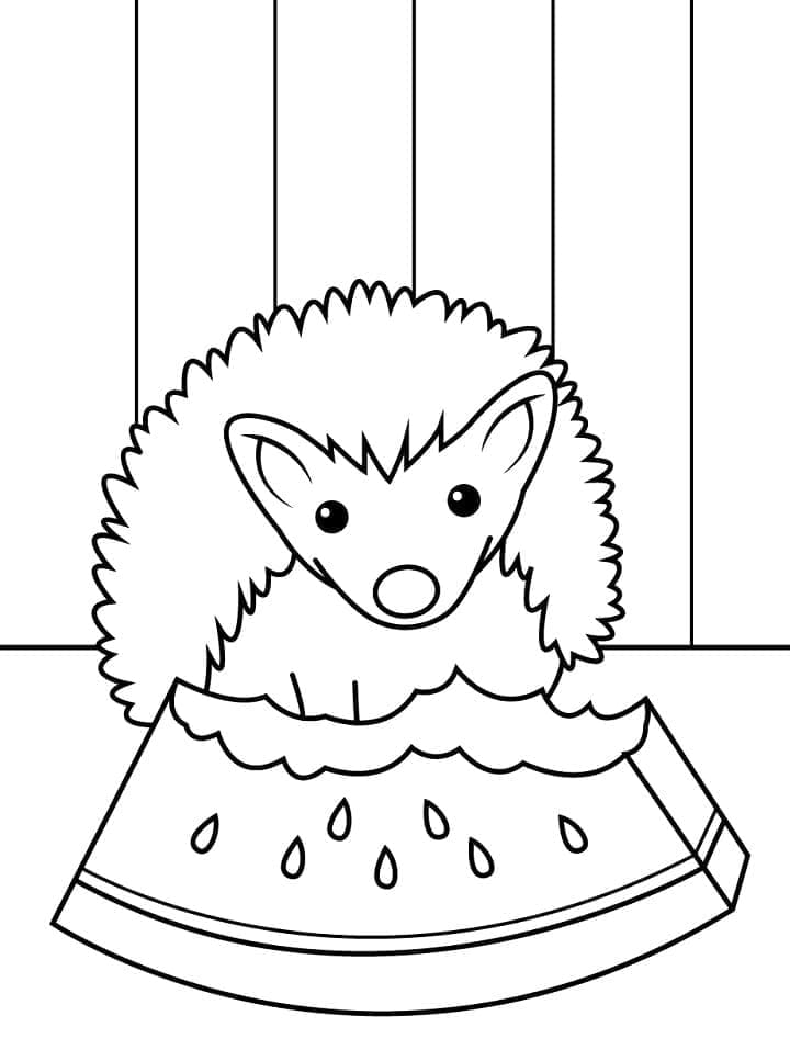 Landak Makan Semangka