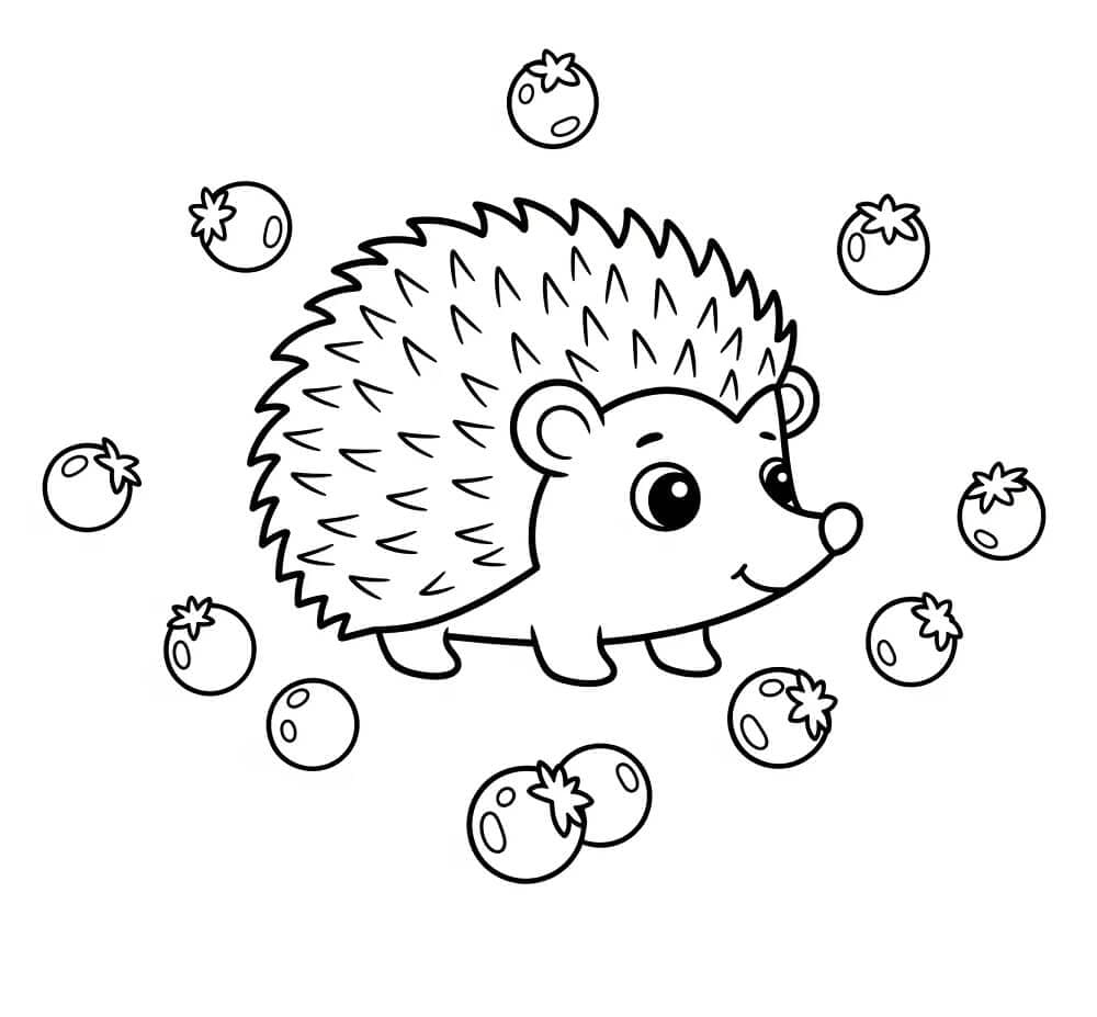 Landak yang Menggemaskan