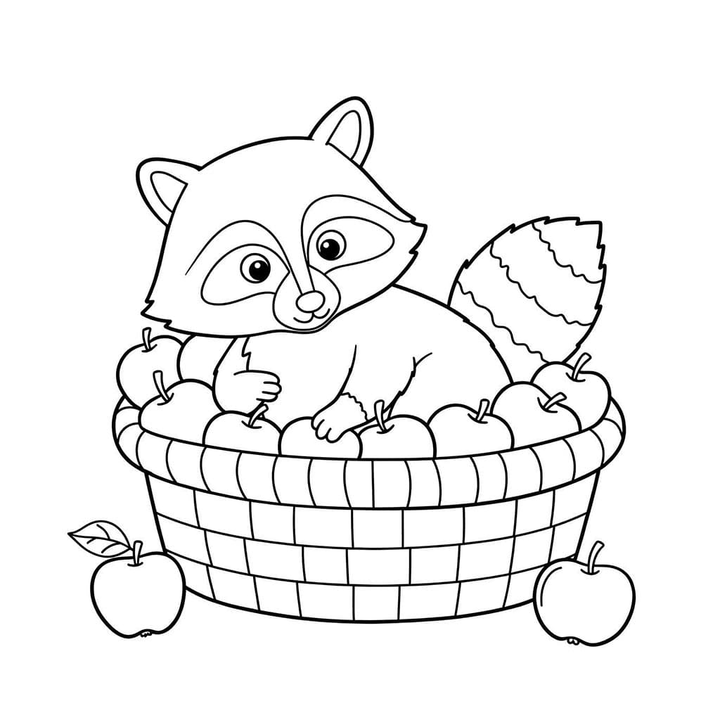 Rakun di dalam keranjang apel