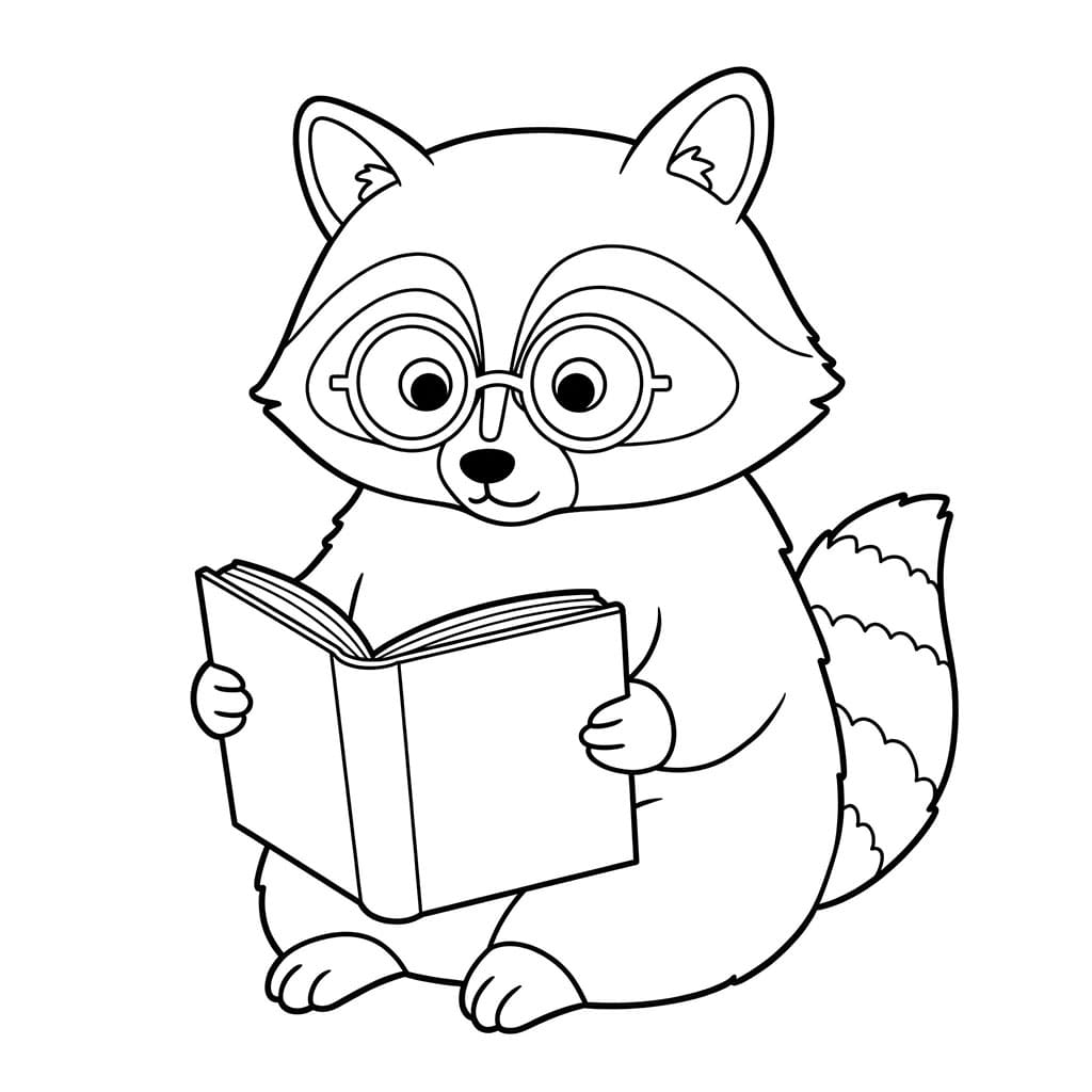 Rakun sedang membaca buku