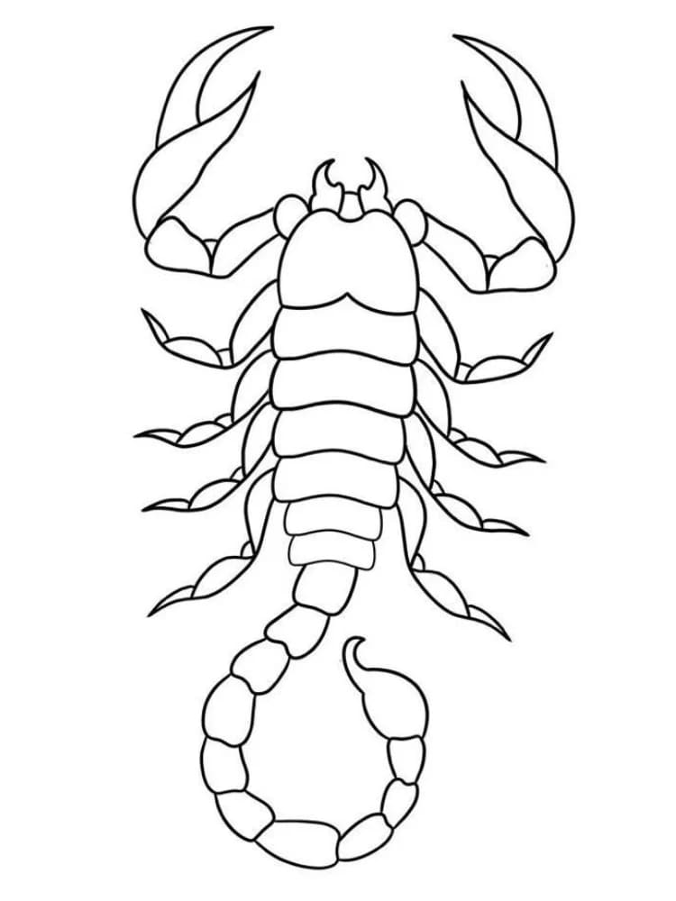 Sederhana Kalajengking