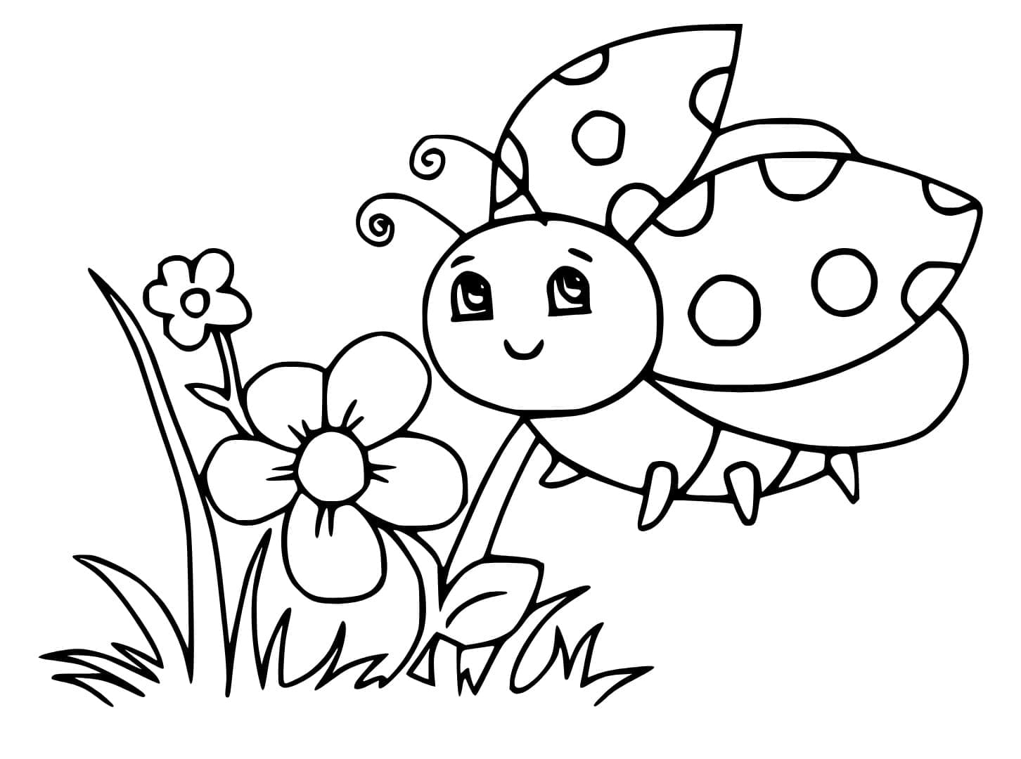 Seekor Kumbang Kecil yang Menawan