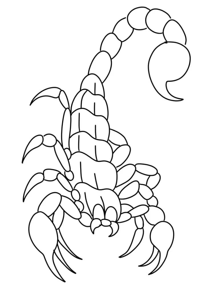 Sketsa kalajengking sederhana