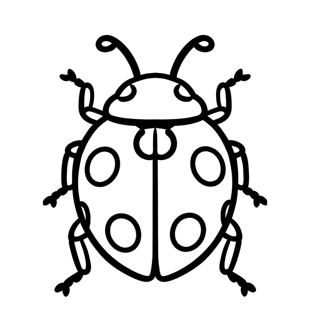 Sketsa Kumbang Kecil