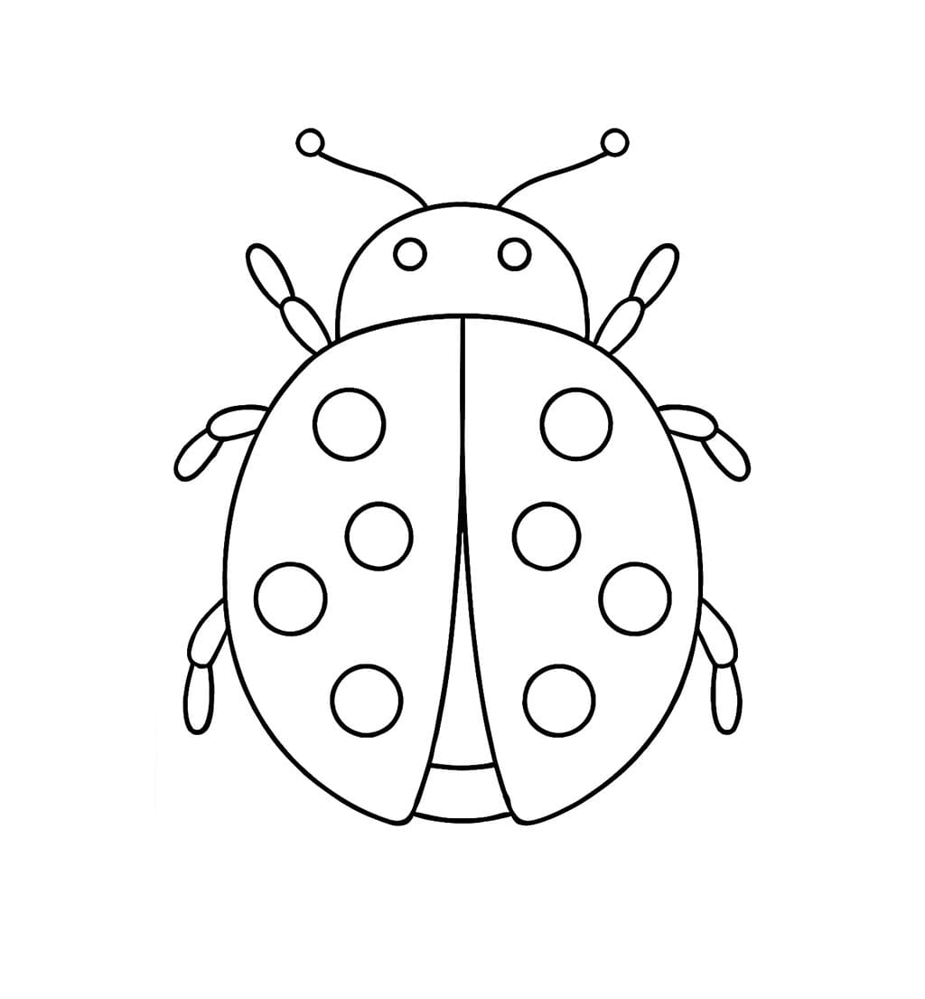 Sketsa Kumbang Kecil sederhana