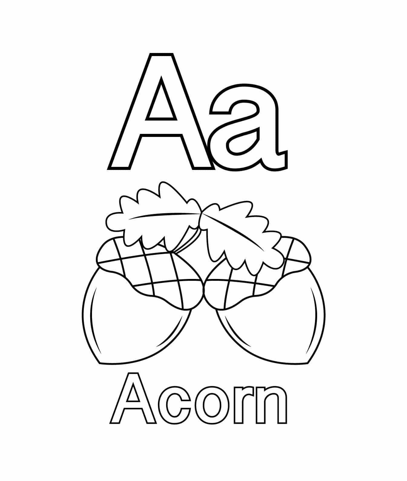 Huruf A untuk Acorn