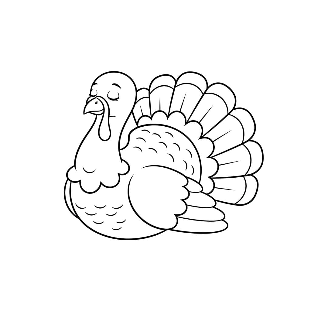 Kalkun yang mengantuk