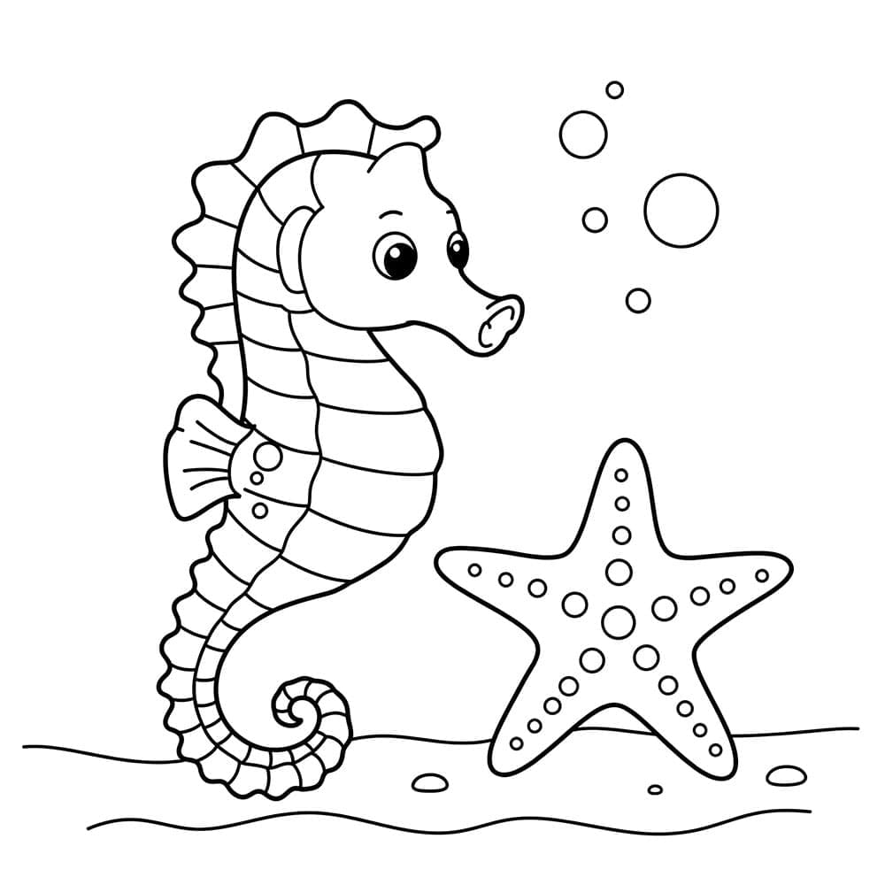 Kuda laut dengan bintang laut