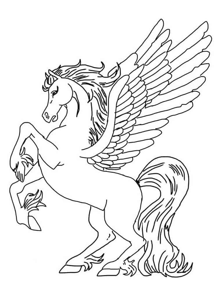 Pegasus yang cantik