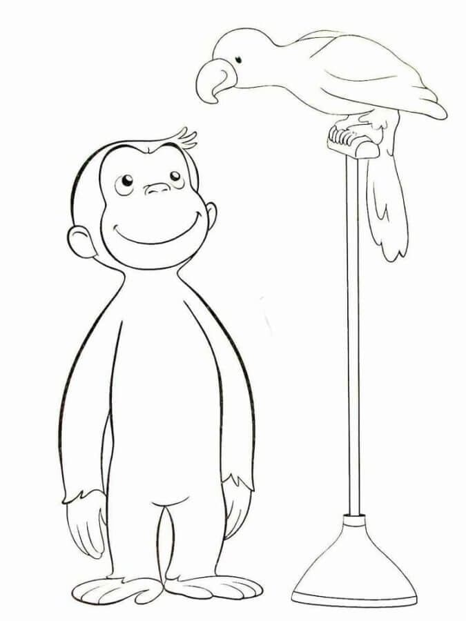 Curious George dengan Burung Beo