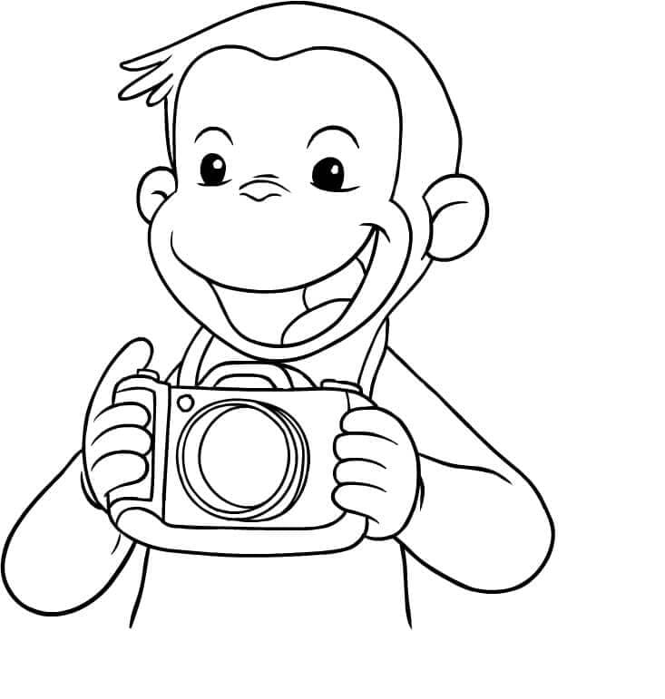 Fotografer Curious George