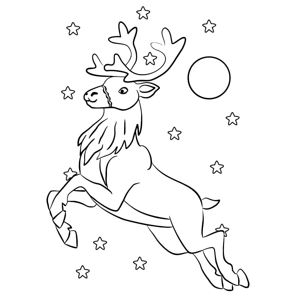 Rusa kutub dengan bintang