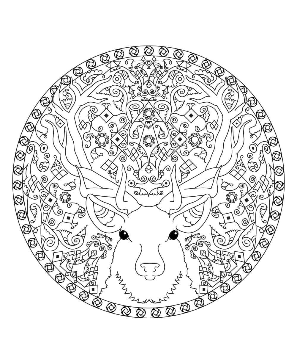 Rusa Kutub di Mandala Natal