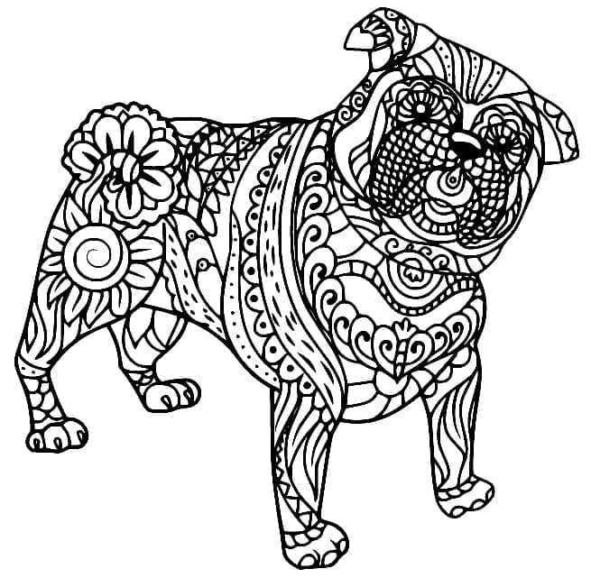 Zentangle Anjing Pug
