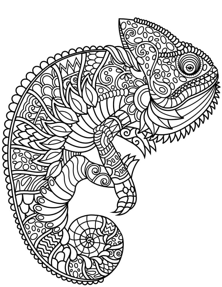 Zentangle Bunglon