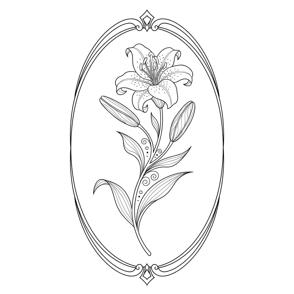 Batang Bunga Bakung Elegan