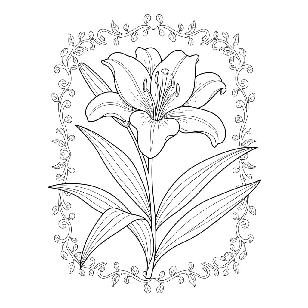 Bunga Bakung dan Daun