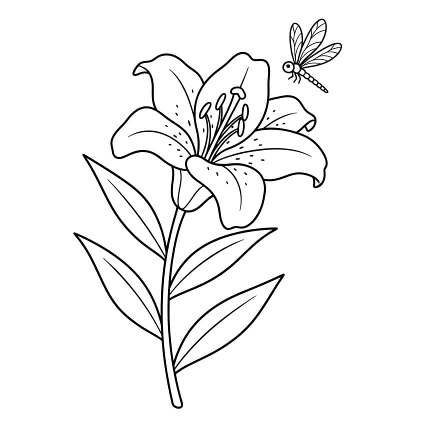 Bunga Bakung dengan Capung