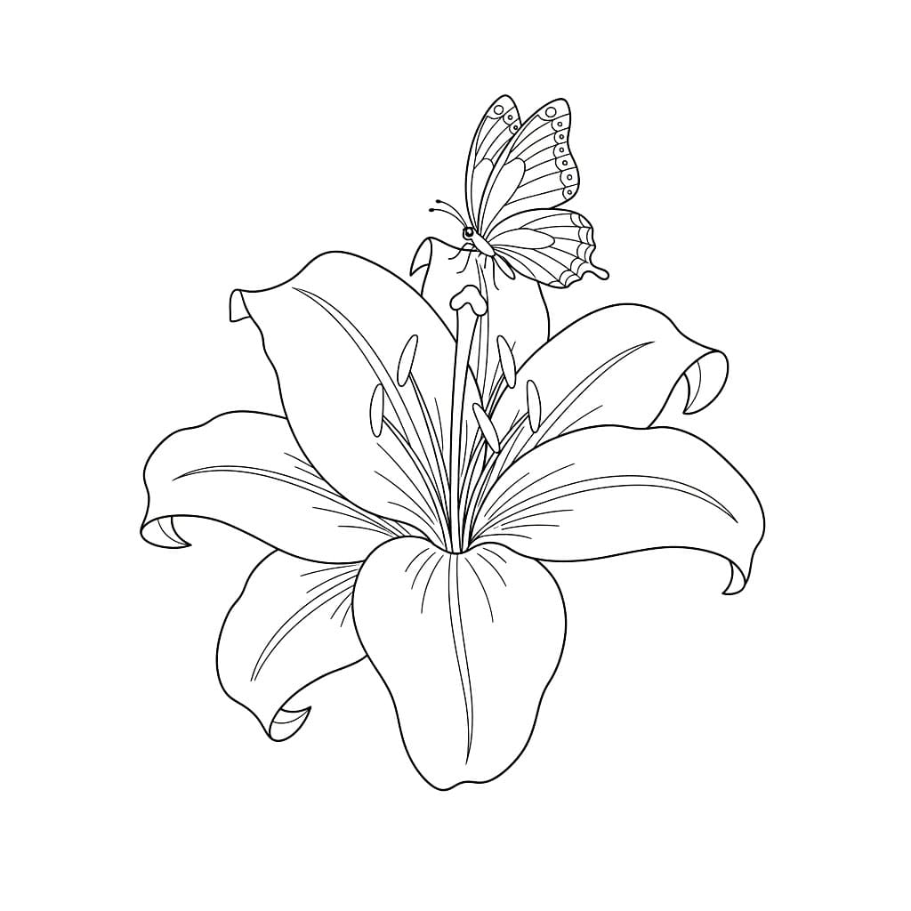 Bunga Bakung dengan Kupu