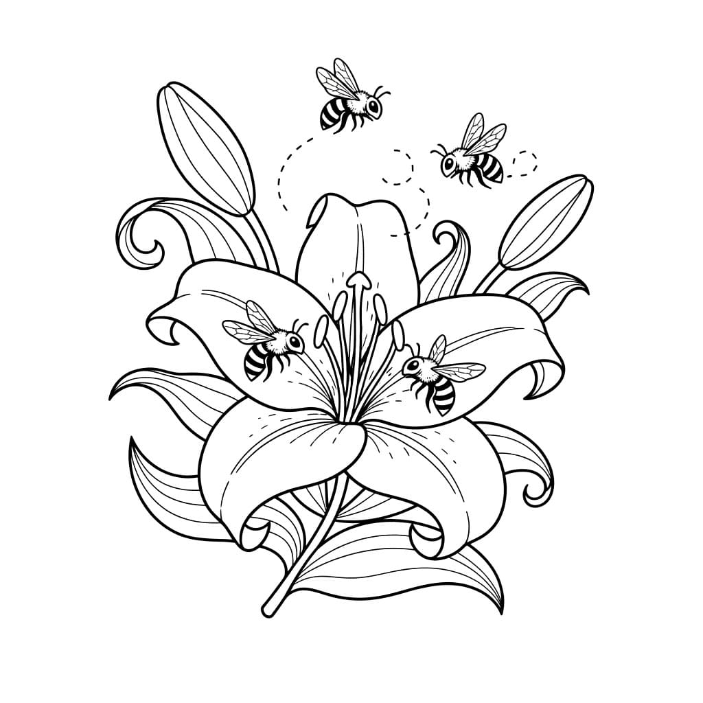 Bunga Bakung dengan Lebah