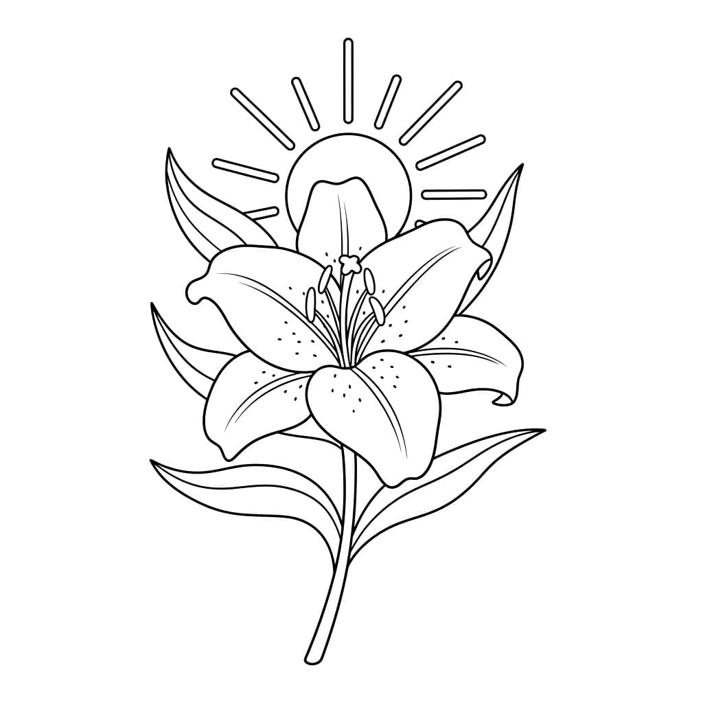 Bunga Bakung dengan Matahari