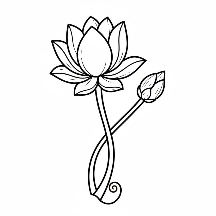 Bunga Teratai dengan Satu Kuncup