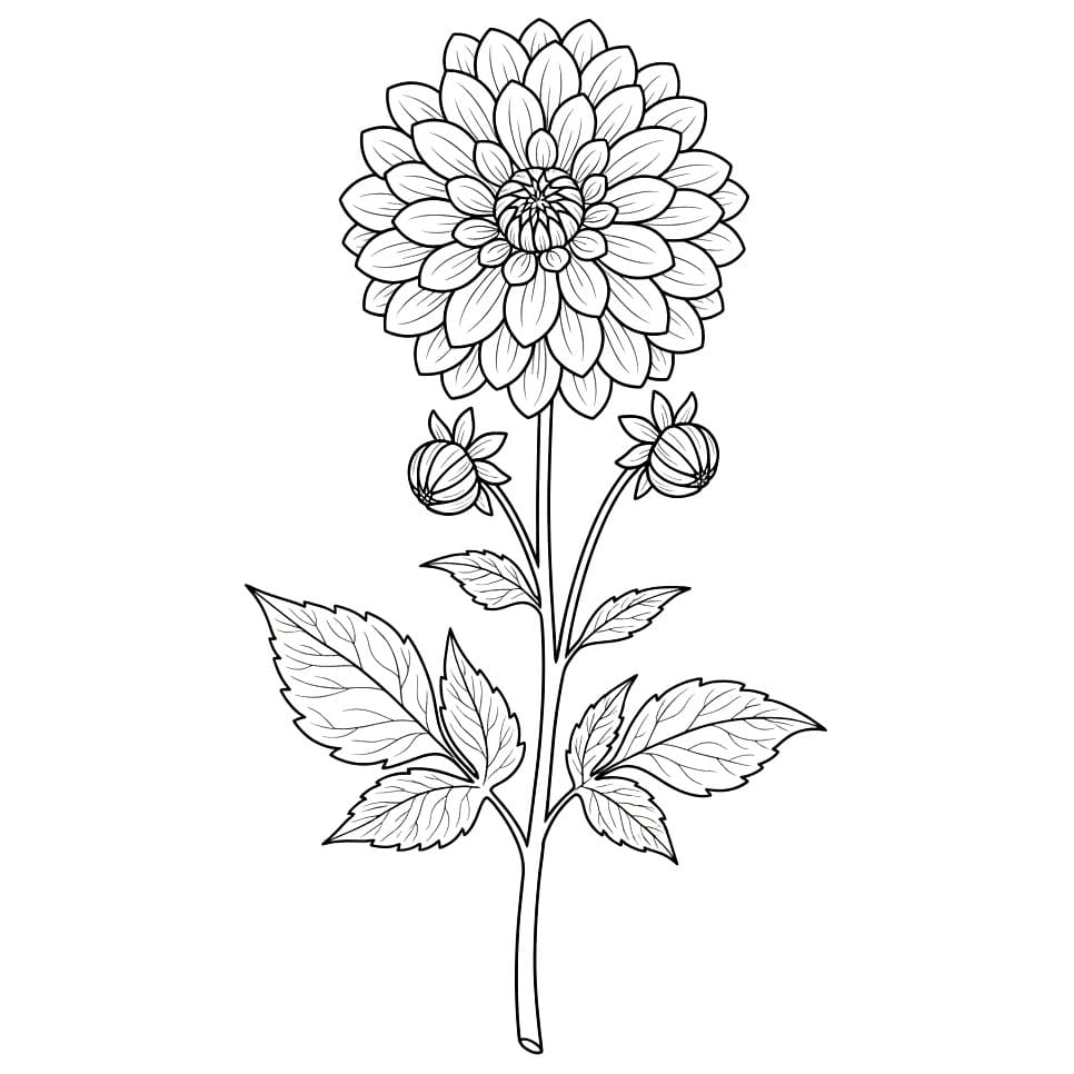 Cabang Dahlia Vertikal