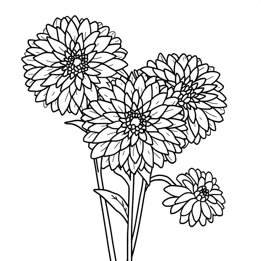 Cetak gambar bunga dahlia