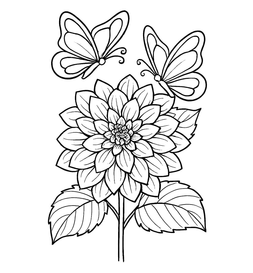 Dahlia dan dua kupu-kupu