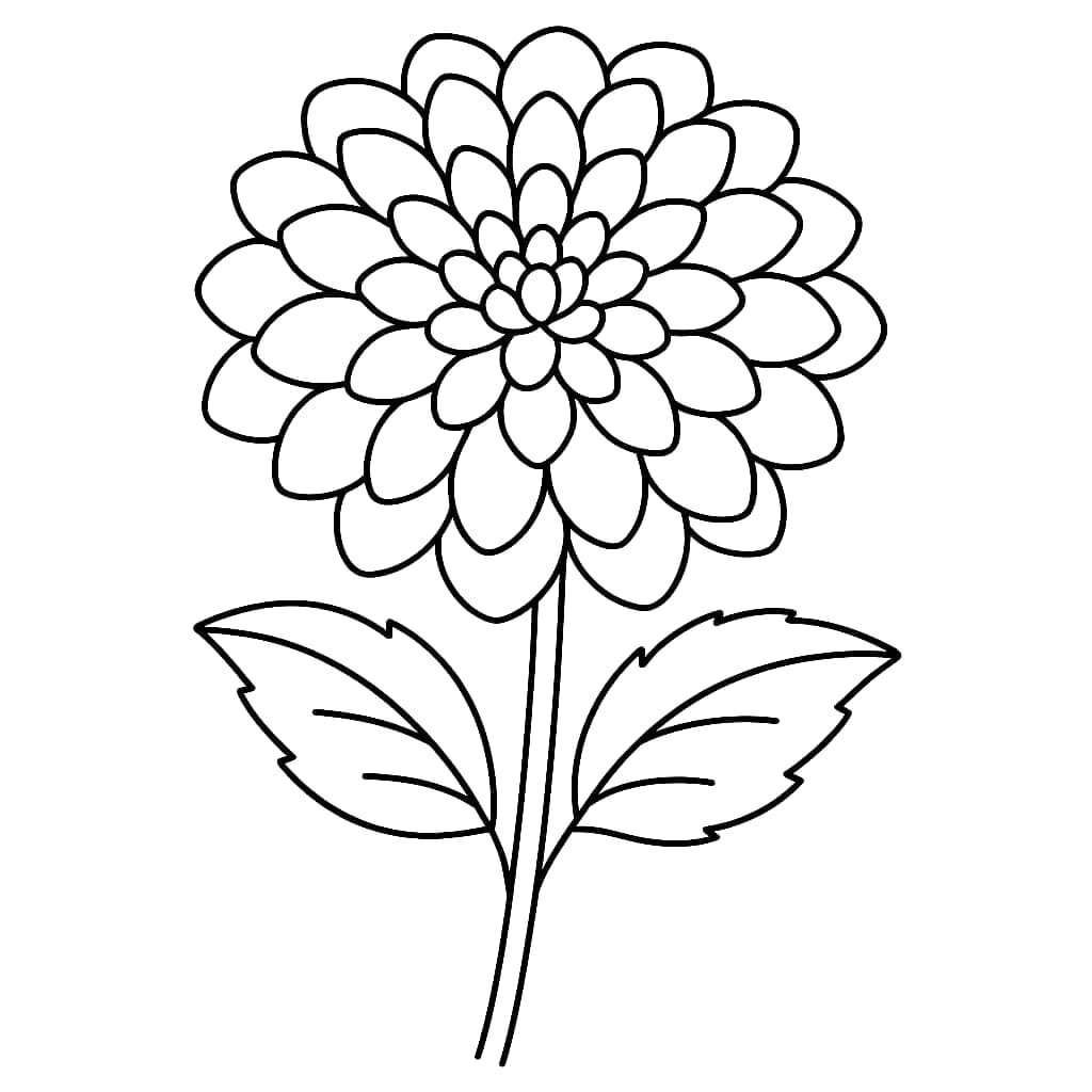 Dahlia sederhana gratis