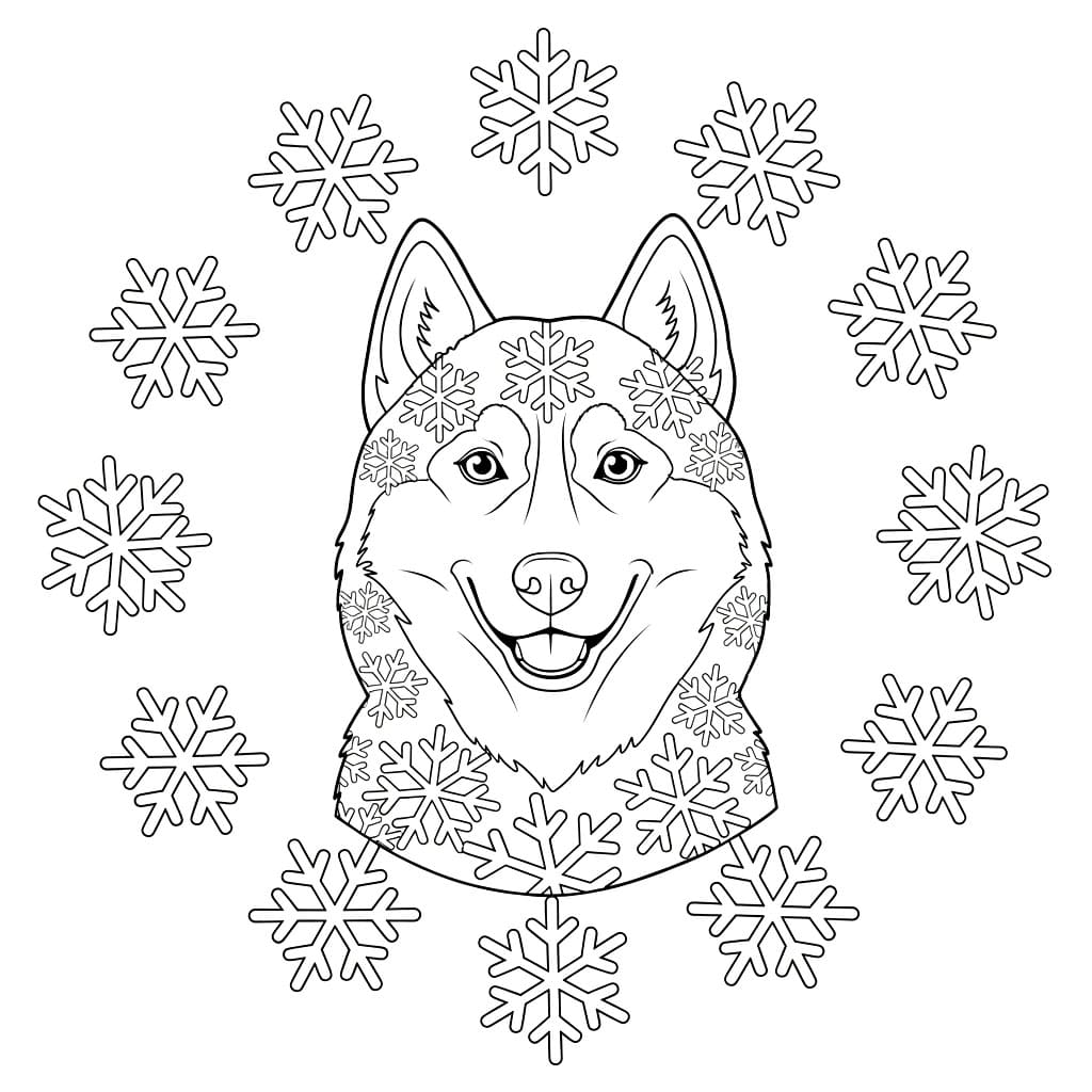 Husky dengan Kepingan Salju